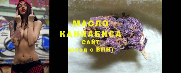 гидра Абаза