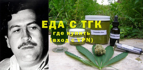 гидра Абаза