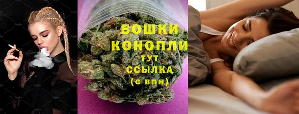 гидра Абаза